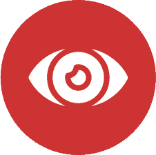 Icon of a stylized white eye with a central red swirl on a circular red background, representing vision or monitoring.
